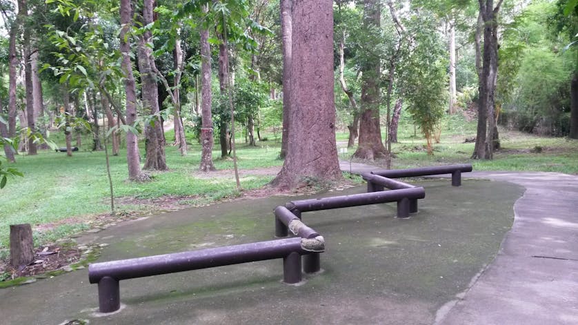 Huay Kaew Arboretum 4